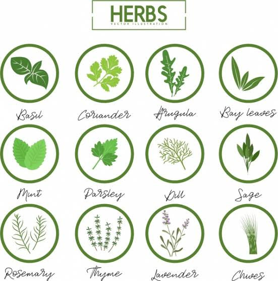Adivasi Herbal Hair Oil OFFICAL🌿